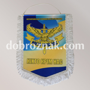 Вимпел "ВГО", з бахрамою