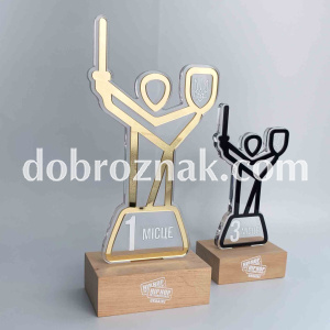 Нагородна статуетка  на замовлення Dobroznak: акрил прозорий з прямим друком, постамент дерево 